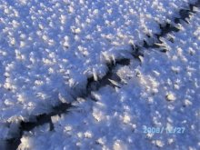 Schnee gebunden / ***