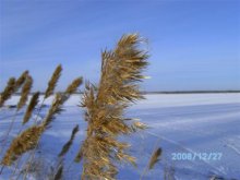 Herbst Grüße / ***