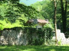 The Lost in Grün / ***