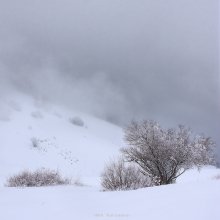 Knapp über den Winter / ***