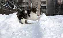Weg zu mir! / ***