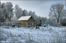 Im Wald am Rande ... / ***