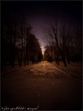 Wo wird das Leben / ***
