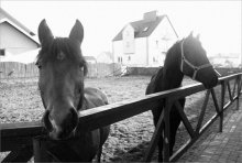 Was hast du? / ***