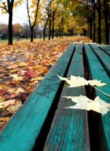 Herbst im Park / *****