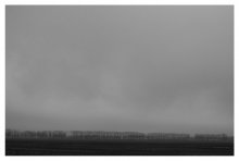 Allee / http://did-e.livejournal.com/