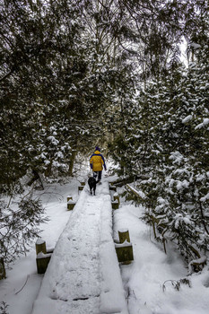 Winter at the Park / the park can be a great place to walk the dog in the winter