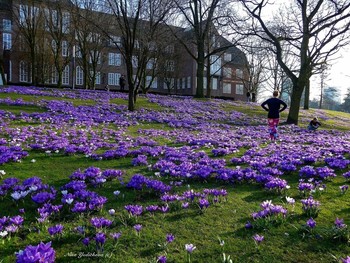 Planten un Blomen Hamburg / ***