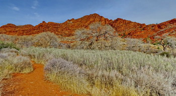 &nbsp; / Red Cliffs National Park, Utah, USA