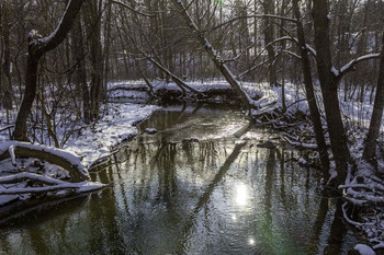 Sun Glistening off Creek / The sun was glistening off the creek this winters day