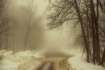 Winternebel / ...