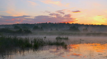 Sommermorgen. / ***