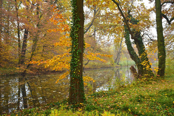 The sleeping river / Die herbstliche Stille und die Farben der Natur sind etwas wunderbares für die Alttags gestresste Seele