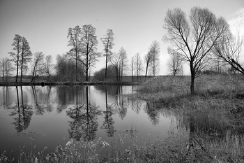 Frühlings-Teich / ***