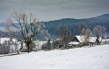 Gerade im Winter / [img]https://i.imgur.com/Gha0V6R.jpg[/img]
[img]https://i.imgur.com/2eTJi2x.jpg[/img]
