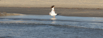 Street Photography / Girl &amp; Sea