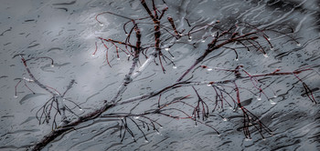 Schlechtes Wetter / ***