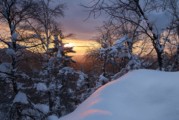 Morgendämmerung / ***