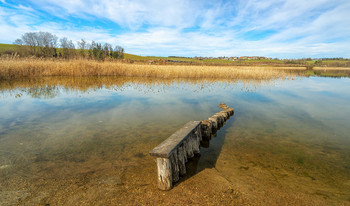 am Wallersee / am Wallersee