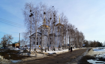 Die Saatkrähen sind angekommen / ***