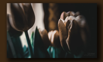 &nbsp; / ............(),..............