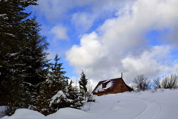 Little House am Stadtrand von ... / ***