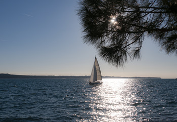 Sail / ...