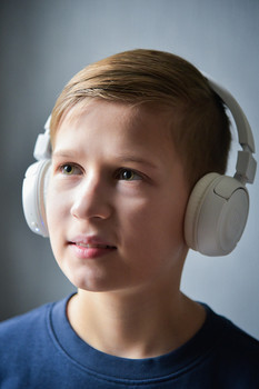 Musikliebhaber / ***