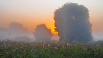 Herbstmorgen. / ***