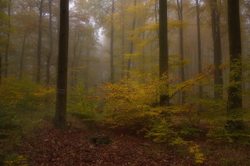 Über Herbst ... / ***