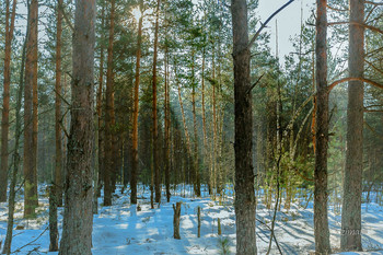 perfektes Wetter / ***