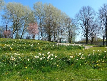 Wilhelmsburger Inselpark Hamburg / ***