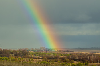 Regenbogen / ***