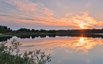 Summer Daydreams / ***