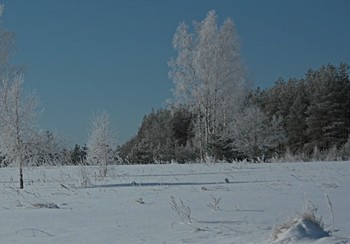 Wintermorgen. / &quot; &quot; &quot;