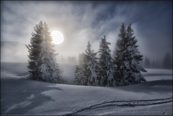 Spuren im Schnee / Nebel