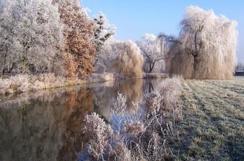 A symphony of winter / Ein windstiller Wintertag an der Aller, die Sonne schien und die Luft war Glasklar