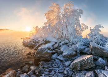 Wintermärchen. / ***
