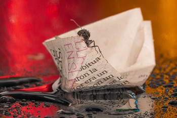 Tierra a la vista. / Foto de experimentación.