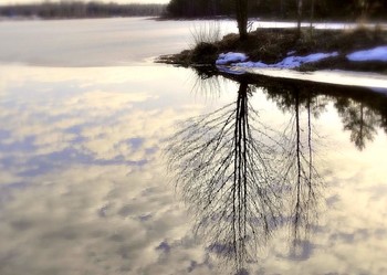 Reflexion der Feder / ***