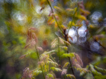  / Spring