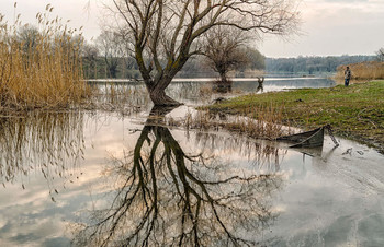 Frühling / ***
