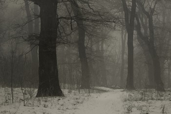 Herbstnebel / ***