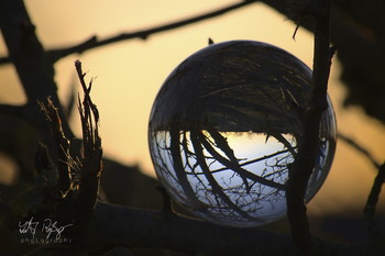 Die letzten Tage des Winters - Der Frühling ist nah! / Glaskugelfotografie im Sonnenuntergang