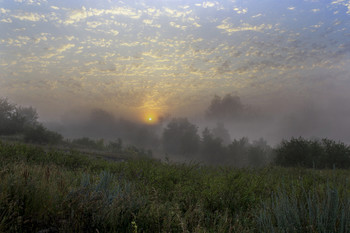 Herbst Morgendämmerung / ***