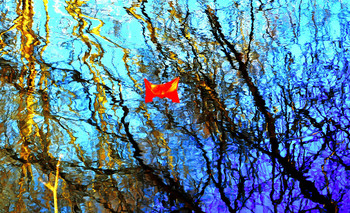 Spring-rot / ***