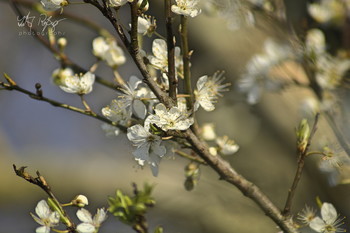 Es ist passiert! / Der Frühling ist da!