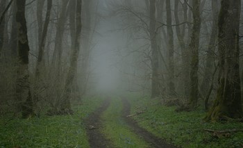 Weg / ***