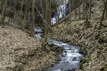 Looking up to Sherman / Looking up the creek to Sherman falls is a fantastic view