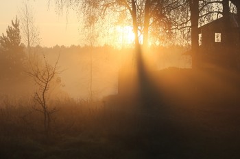 Der Geruch des Herbstes / ***